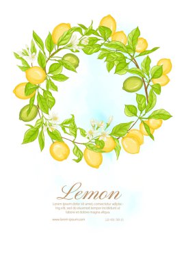 Limonlu limon dalı