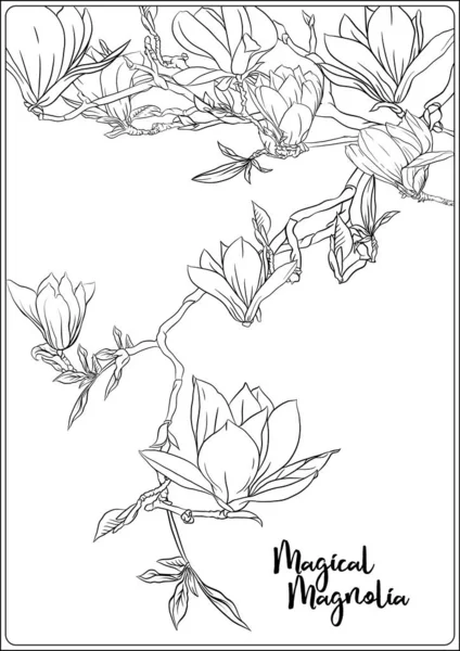 Magnolia trädgren — Stock vektor