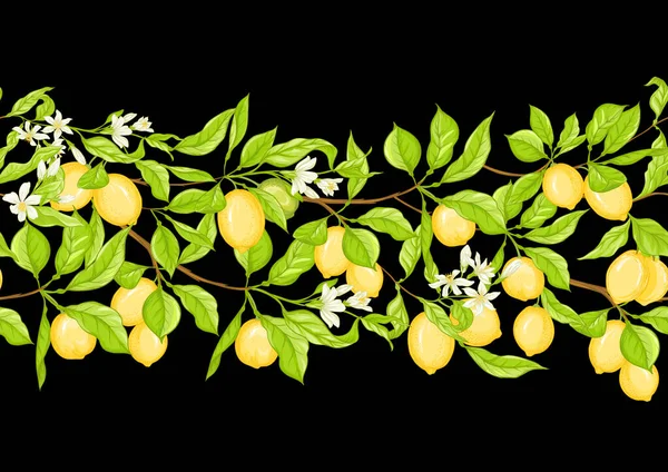 Лимонна гілка дерева з лимонами — стоковий вектор