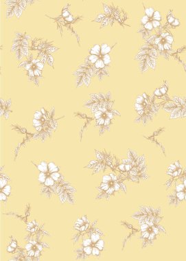 Köpek gülü, briar, brier, eglantin, kantar gülü 