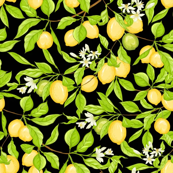 Lemon tree branch with lemons — Stock Vector