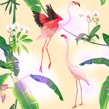Kusursuz desen, arka plan. tropikal bitkiler ile