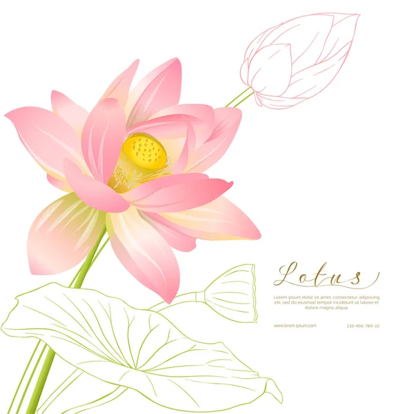 Lotus çiçekleri. Düğün davetiyesi şablonu — Stok Vektör