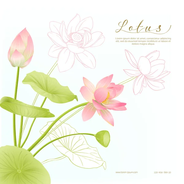 Lotus flowers. Template for wedding invitation — Stock Vector