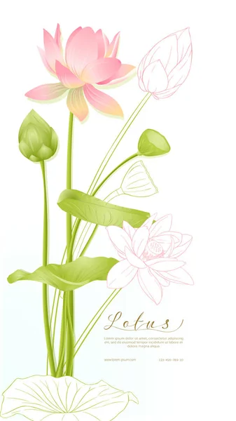 Flores de loto. Plantilla para invitación de boda — Vector de stock