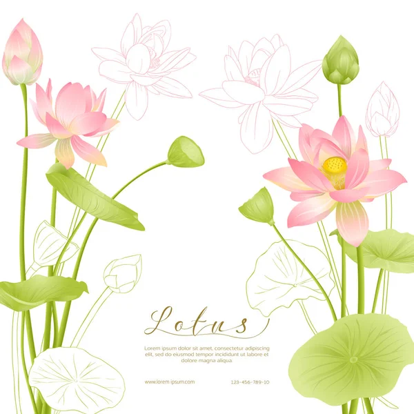 Flores de loto. Plantilla para invitación de boda — Vector de stock