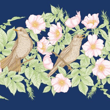 Köpek gülü, briar, brier, eglantin, kantar gülü 