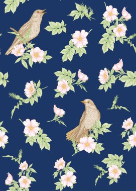 Köpek gülü, briar, brier, eglantin, kantar gülü 