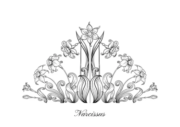 Narcissus彩色插图 — 图库矢量图片