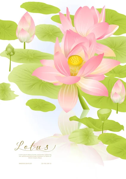 Rosafarbener Lotus. Vorlage für Hochzeitseinladung — Stockvektor