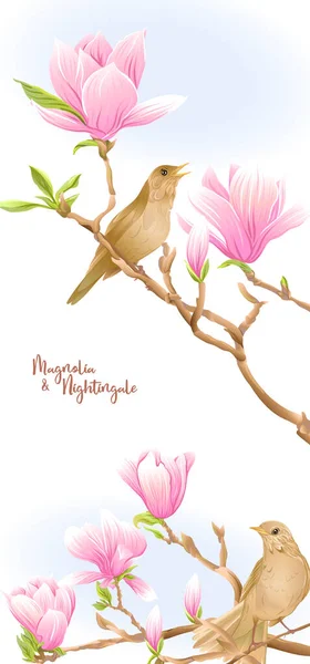 Ramo d'albero Magnolia con fiori e usignolo — Vettoriale Stock