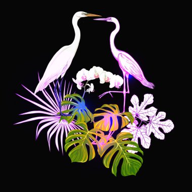 Tropikal bitkiler, palmiye yaprakları bir kompozisyon