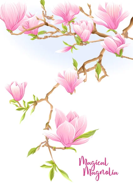 Rama de árbol de Magnolia con flores . — Archivo Imágenes Vectoriales