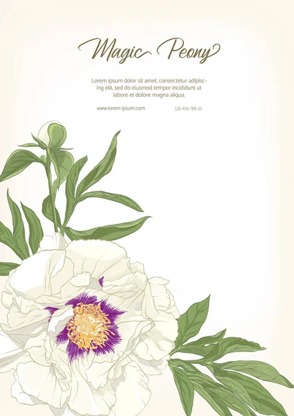 White Peony. Plantilla para invitación de boda , — Archivo Imágenes Vectoriales