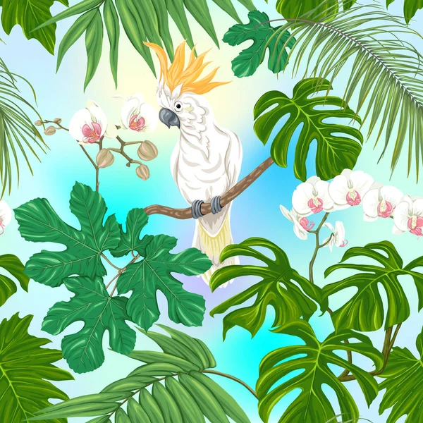 Patrón sin costuras, fondo. con plantas tropicales — Vector de stock