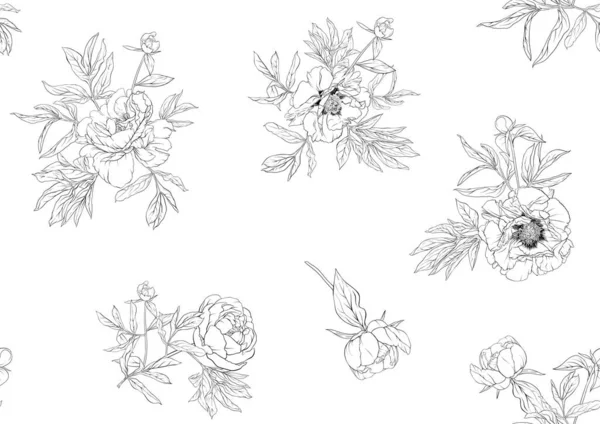 Des fleurs de pivoine. Modèle sans couture, fond . — Image vectorielle