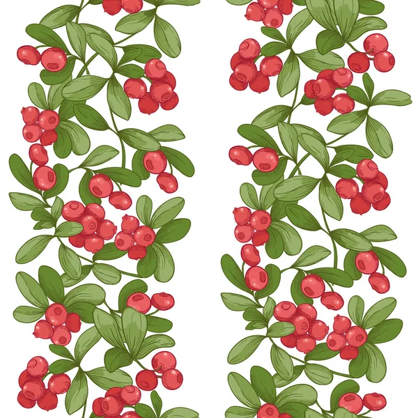 Cranberry. Seamless pattern — Stock Vector