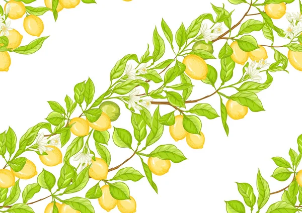 柠檬树枝与柠檬 — 图库矢量图片