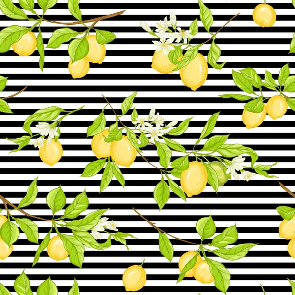 Ramo de limoneiro com limões —  Vetores de Stock