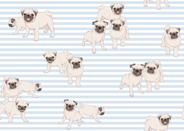 Pug köpeklerinde pürüzsüz desen 