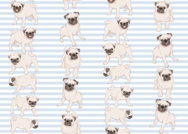 Pug köpeklerinde pürüzsüz desen 