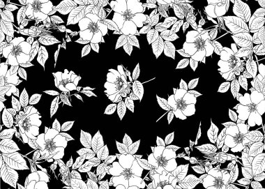 Köpek gülü, briar, brier, eglantin, kantar gülü. 