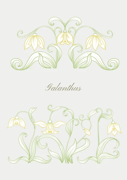 Galanthus, queda de neve, nivalis. Conjunto de elementos para projeto — Vetor de Stock