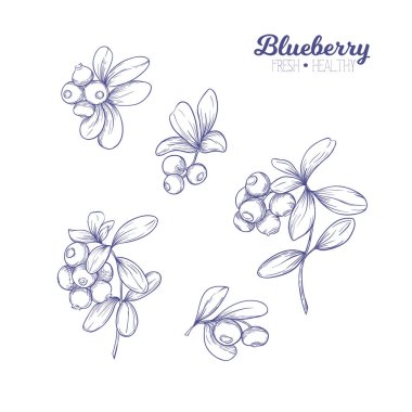 Yabanmersini. Tasarım elementi.