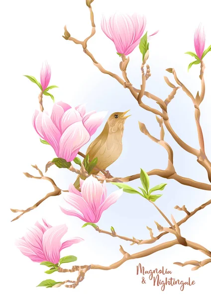 Rama de árbol de Magnolia con flores y ruiseñor — Vector de stock