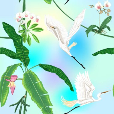 Kusursuz desen, arka plan. tropikal bitkiler ile