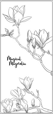 Manolya ağacı dalı