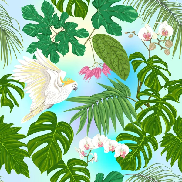 Bezproblémový vzor, pozadí. s tropickými rostlinami — Stockový vektor
