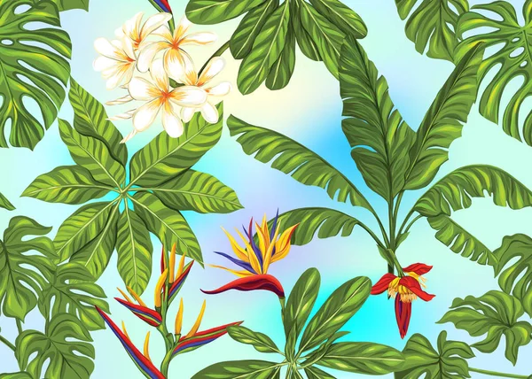 Bezszwowy wzór, tło z roślinami tropikalnymi — Wektor stockowy