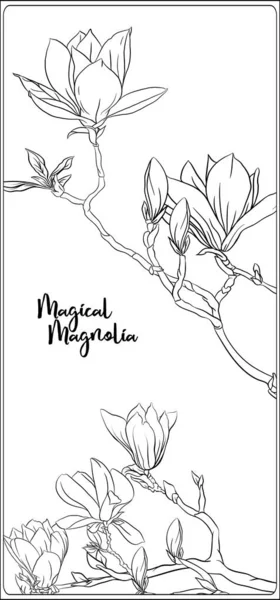 Magnolia trädgren — Stock vektor