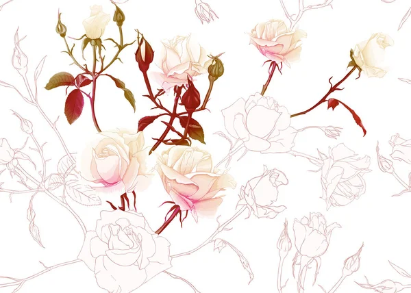 Rosas y flores de primavera patrón sin costura — Vector de stock