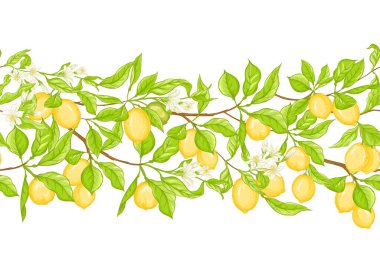 Limonlu limon dalı