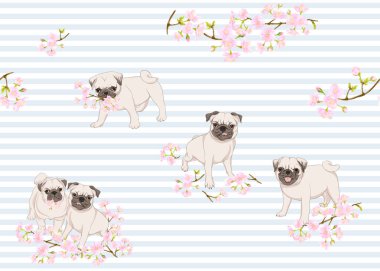 Pug köpeklerinde pürüzsüz desen 