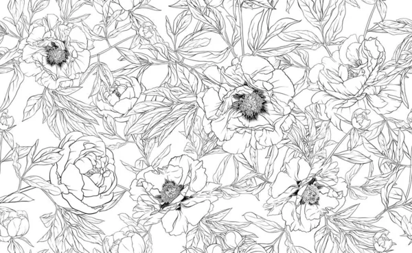 Des fleurs de pivoine. Modèle sans couture, fond . — Image vectorielle