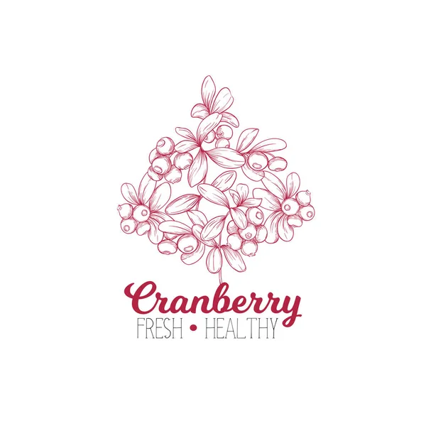 Cranberry. Elemen untuk desain . - Stok Vektor