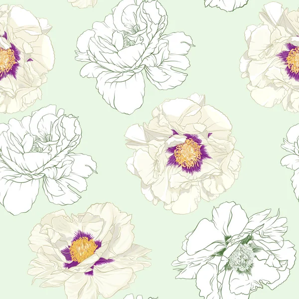 Vita pion blommor. Sömlös mönster, bakgrund — Stock vektor