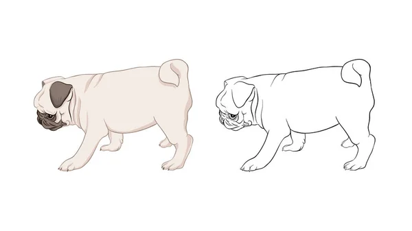 Conjunto de perros pug vector ilustración . — Archivo Imágenes Vectoriales