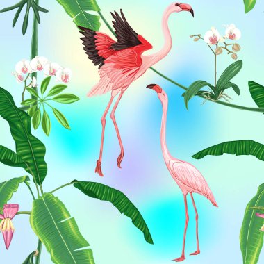 Kusursuz desen, arka plan. tropikal bitkiler ile