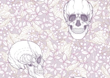 insan kafatasları ile Seamless Modeli 