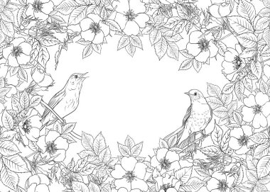 Kusursuz desen, köpek gülü, bria