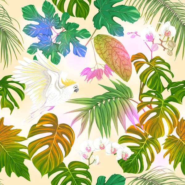 Bezproblémový vzor, pozadí. s tropickými rostlinami — Stockový vektor