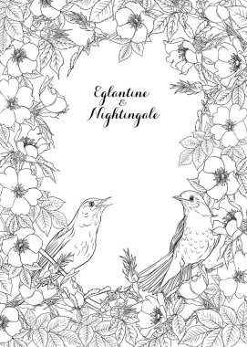 Köpek gülü, briar, brier, eglantin, kantar gülü 