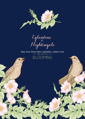 Köpek gülü, briar, brier, eglantin, kantar gülü 