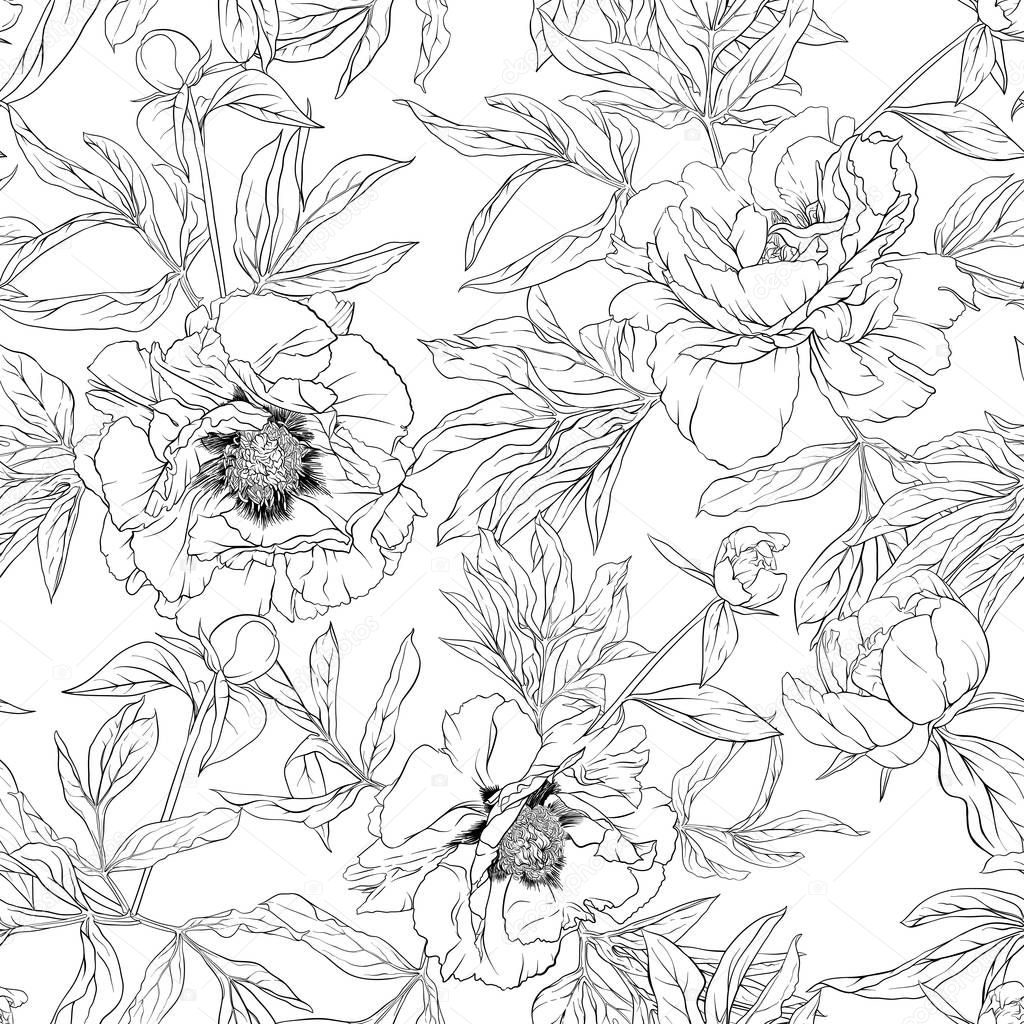 Peony flowers. Seamless pattern, background.