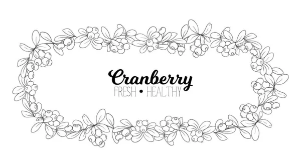 Cranberry. Element for design. — Stock Vector
