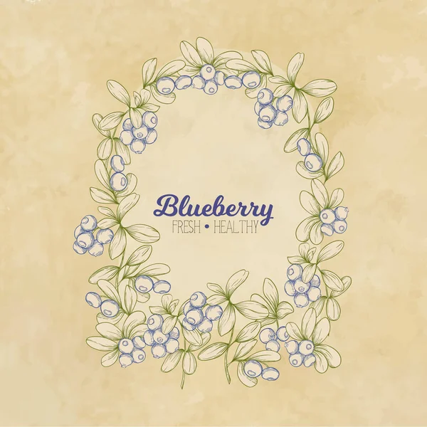 Blaubeeren. Element für Design. — Stockvektor